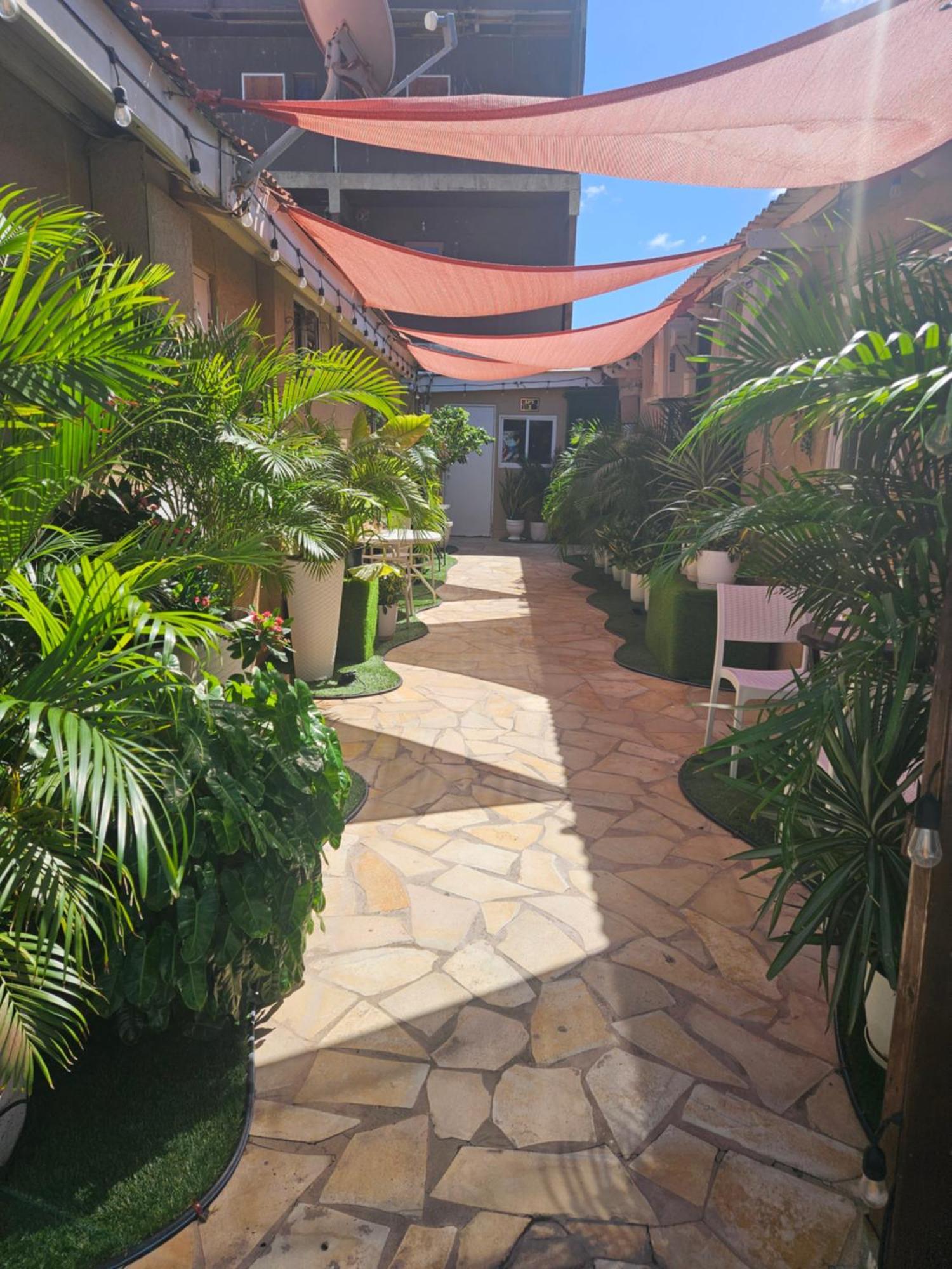 The Jazmin'S Apto B Oranjestad Exteriör bild
